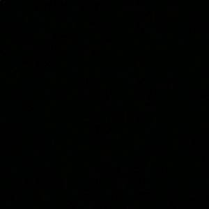 Meet your Posher, Ruth